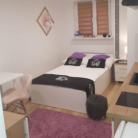 Apartamenty Centrum Panoramiczna Mala Dwojka Swan Labedz Promenada Klimatyzacja Lodowa 凯尔采 外观 照片