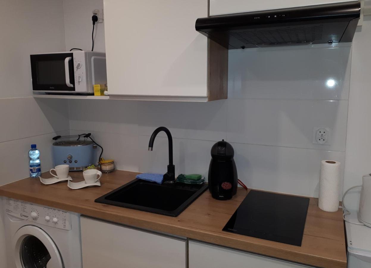 Apartamenty Centrum Panoramiczna Mala Dwojka Swan Labedz Promenada Klimatyzacja Lodowa 凯尔采 外观 照片