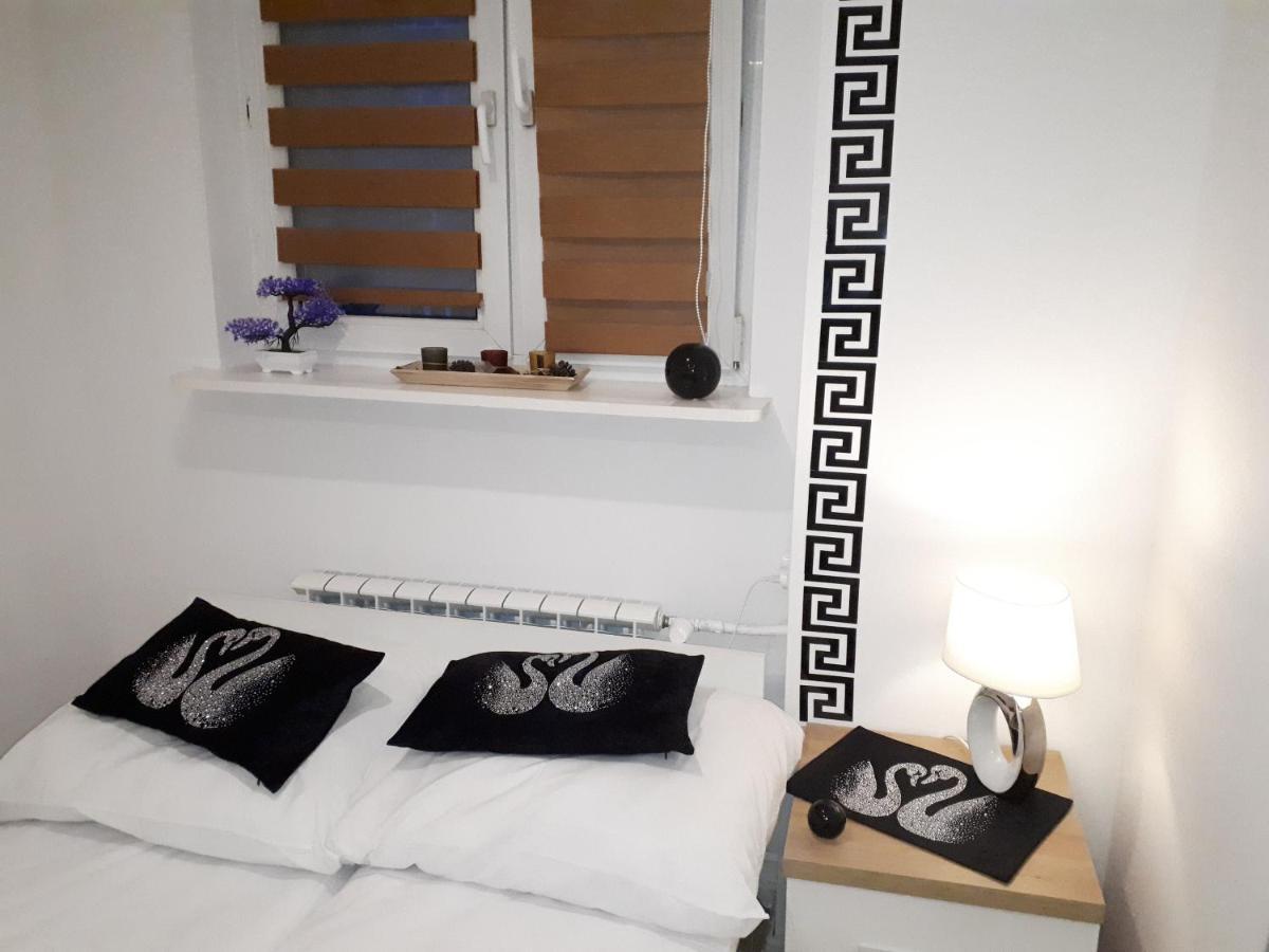 Apartamenty Centrum Panoramiczna Mala Dwojka Swan Labedz Promenada Klimatyzacja Lodowa 凯尔采 外观 照片