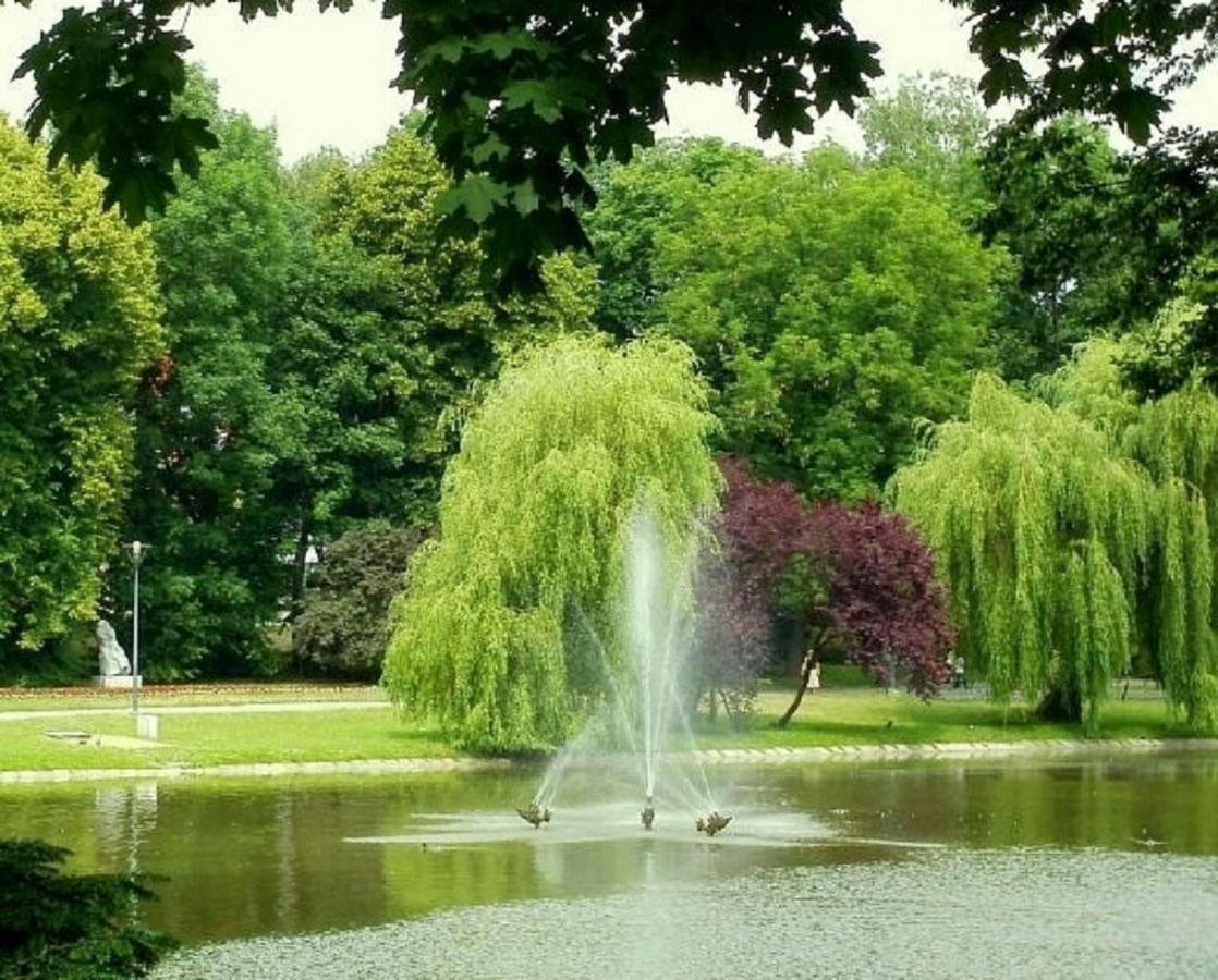 Apartamenty Centrum Panoramiczna Mala Dwojka Swan Labedz Promenada Klimatyzacja Lodowa 凯尔采 外观 照片