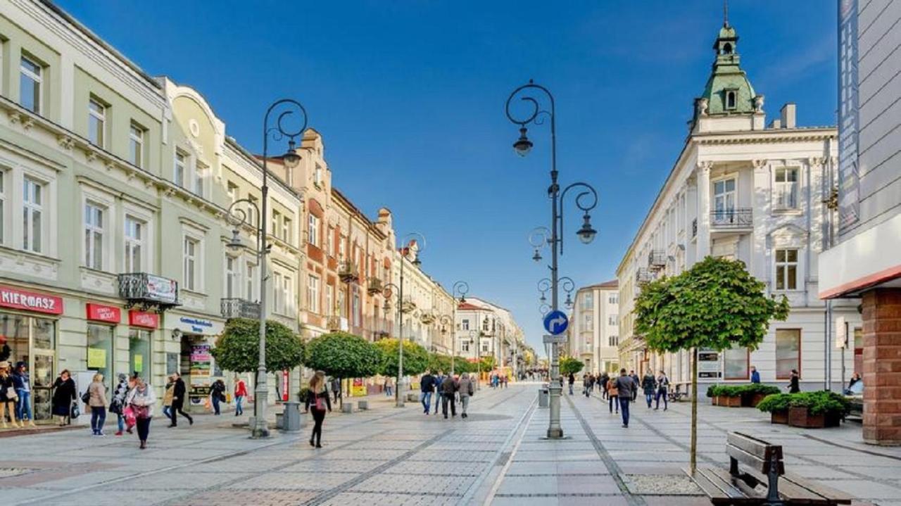 Apartamenty Centrum Panoramiczna Mala Dwojka Swan Labedz Promenada Klimatyzacja Lodowa 凯尔采 外观 照片