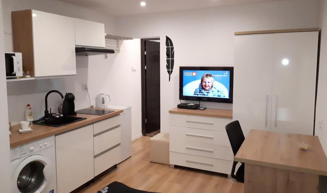 Apartamenty Centrum Panoramiczna Mala Dwojka Swan Labedz Promenada Klimatyzacja Lodowa 凯尔采 外观 照片