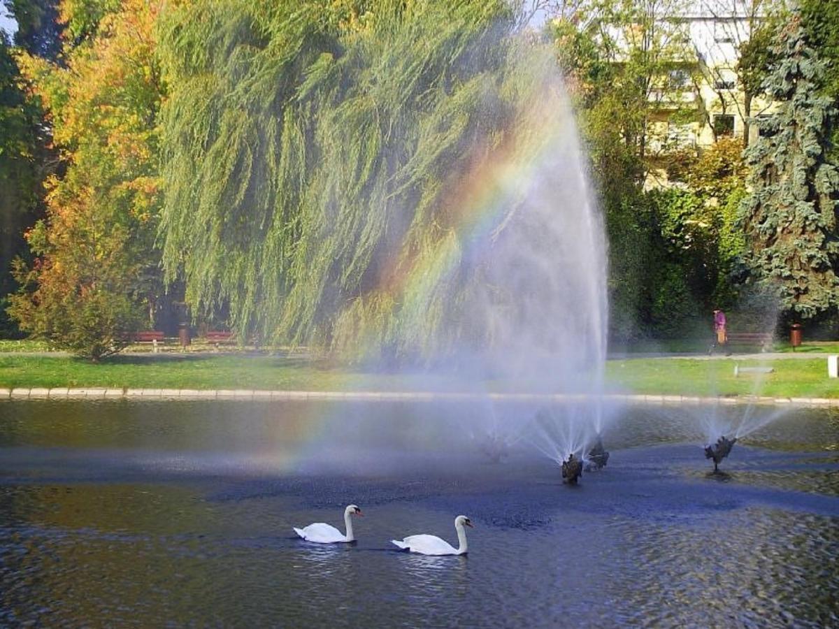 Apartamenty Centrum Panoramiczna Mala Dwojka Swan Labedz Promenada Klimatyzacja Lodowa 凯尔采 外观 照片