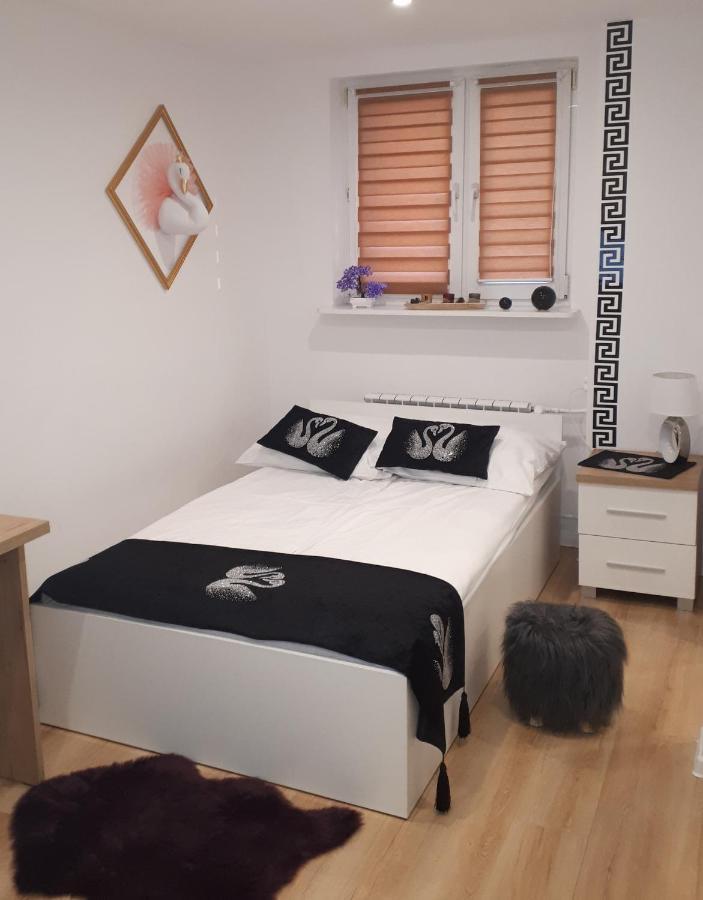 Apartamenty Centrum Panoramiczna Mala Dwojka Swan Labedz Promenada Klimatyzacja Lodowa 凯尔采 外观 照片