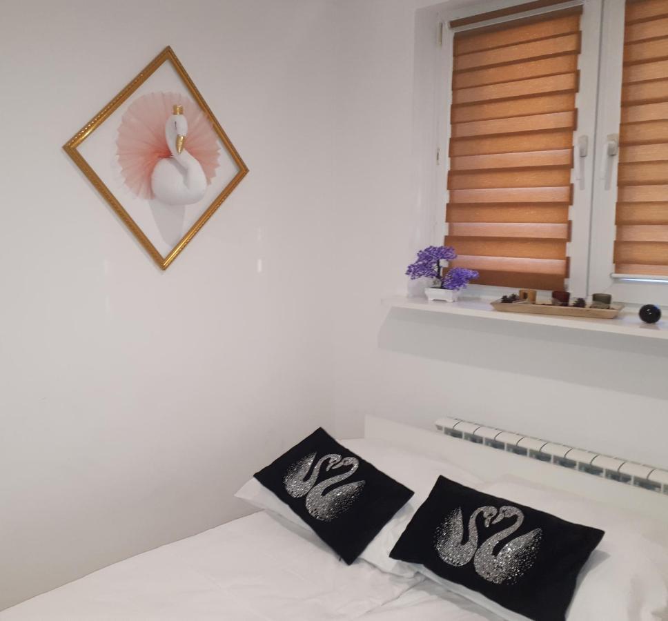 Apartamenty Centrum Panoramiczna Mala Dwojka Swan Labedz Promenada Klimatyzacja Lodowa 凯尔采 外观 照片