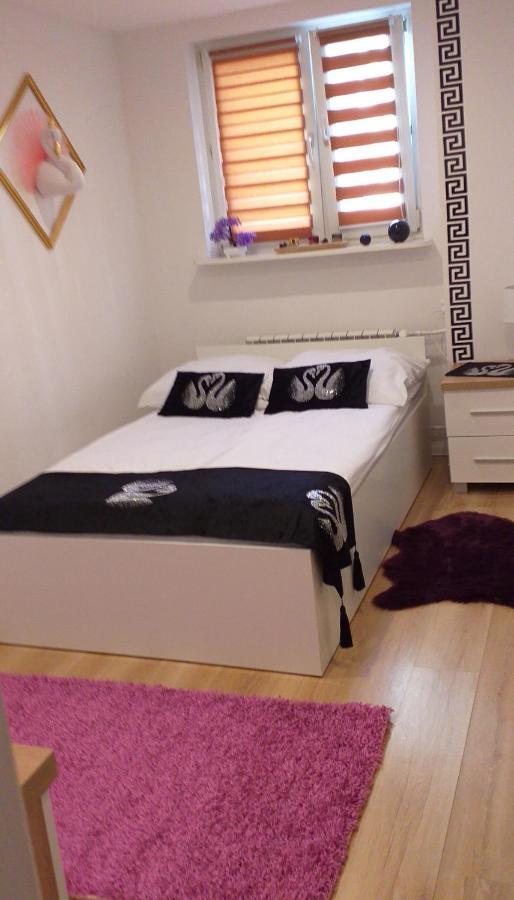 Apartamenty Centrum Panoramiczna Mala Dwojka Swan Labedz Promenada Klimatyzacja Lodowa 凯尔采 外观 照片