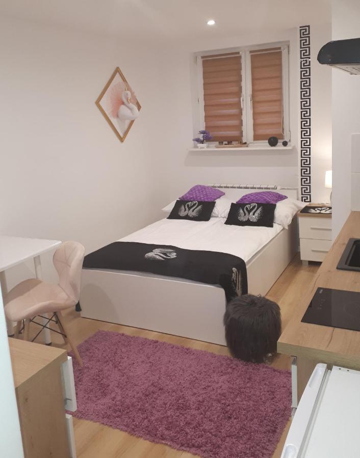 Apartamenty Centrum Panoramiczna Mala Dwojka Swan Labedz Promenada Klimatyzacja Lodowa 凯尔采 外观 照片