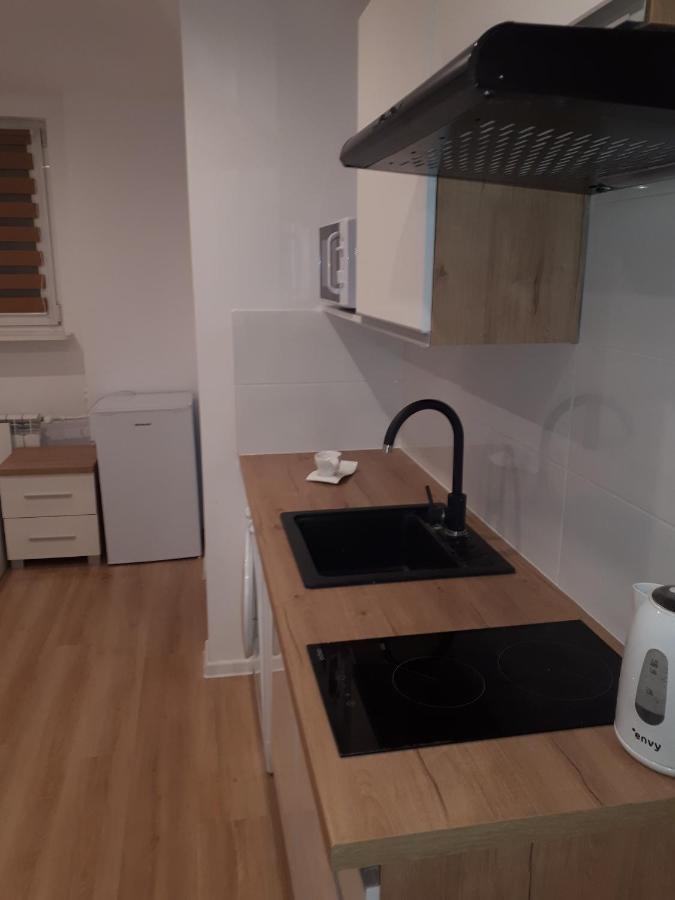 Apartamenty Centrum Panoramiczna Mala Dwojka Swan Labedz Promenada Klimatyzacja Lodowa 凯尔采 外观 照片